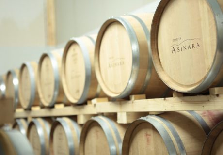 Cantina Tenuta Asinara